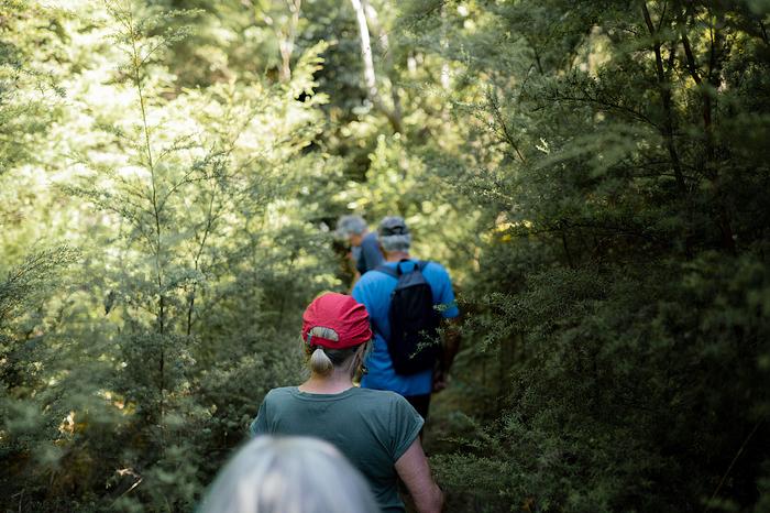 Fine tuning your predator control with Cam Speedy, Māpua logo